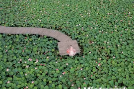 Trải nghiệm Thu lãng mạn ở 'thiên đường sống ảo' của Ninh Bình