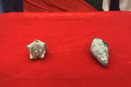 Hoàn nguyên 'đóa sen và con ốc' về bảo vật gốc