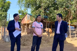 Ia Grai ưu tiên nguồn vốn hỗ trợ người dân phát triển sản xuất