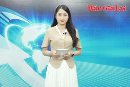 Gia Lai 24h: Trúng đấu giá quyền sử dụng đất nhưng không được chỉnh lý sang tên 