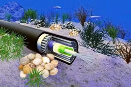 Khôi phục 50% dung lượng Internet đi quốc tế sau sự cố cáp quang biển