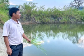 Tăng thu nhập từ mô hình đa lợi ích