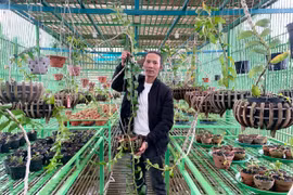 Vươn lên từ lầm lỗi 