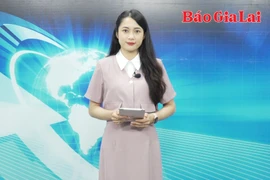 Gia Lai 24h: Bắt nhân viên Văn phòng Đăng ký đất đai tỉnh để điều tra về hành vi nhận hối lộ 