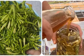 Hoa đu đủ đực ngâm mật ong trị bệnh gì?