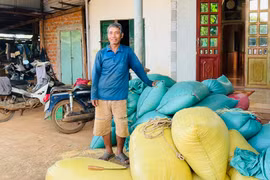Lão nông Jrai vượt khó làm giàu