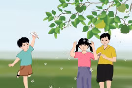 Xôn xao mùa hoa bưởi