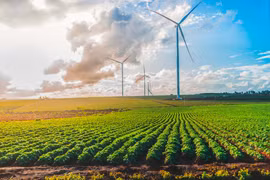 Công nghiệp năng lượng tái tạo khẳng định vị thế tại Gia Lai