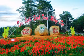 Lên Măng Đen nhớ Ngọc Tường 