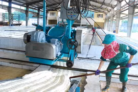 Công ty Cao su Chư Păh thân thiện với môi trường