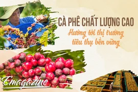 Cà phê chất lượng cao: Hướng tới thị trường tiêu thụ bền vững