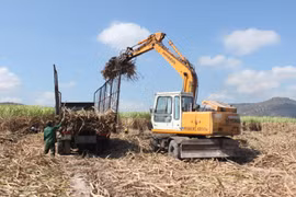 Điện sinh khối thúc đẩy kinh tế tuần hoàn