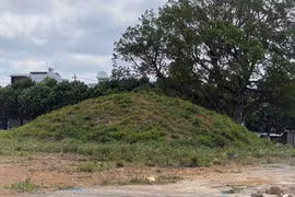 Đắk Lắk: Xây dựng công viên có chủ đề voi