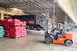 Hứa hẹn bước đột phá về xuất khẩu nông sản chủ lực