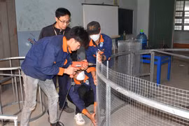 Đào tạo nghề theo đơn đặt hàng: Đảm bảo lợi ích 3 bên