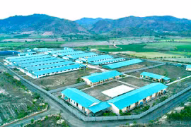 Đa dạng hình thức quảng bá, xúc tiến thu hút đầu tư