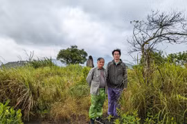 Trận chiến đèo An Khê: Lời thú nhận cay đắng 