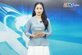 Gia Lai 24h: Sầu riêng rụng quả do thời tiết bất thường 