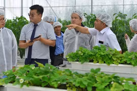 Lâm Đồng khánh thành trang trại thông minh do Hàn Quốc viện trợ vốn