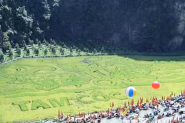 Tưng bừng khai mạc Tuần lễ du lịch 'Sắc vàng Tam Cốc-Tràng An'