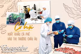 Cơ hội xuất khẩu cà phê vào thị trường châu Âu