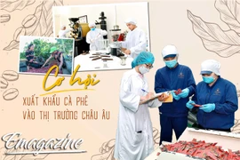 Cơ hội xuất khẩu cà phê vào thị trường châu Âu