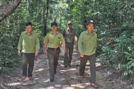 Hỗ trợ người dân phát triển lâm nghiệp bền vững: Nhiều khó khăn cần tháo gỡ