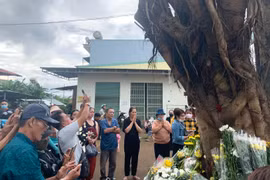 Tin đồn thân cây có hình thù giống mặt người ở Chư Păh: Đừng để sự hiếu kỳ làm mờ lý trí