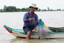 Chơi vơi mùa nước nổi: Đồng Tháp Mười 'đói' tôm, cá