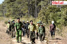 Mang Yang chủ động phòng-chống cháy rừng