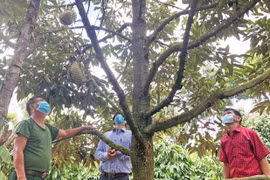 Chư Păh phát huy hiệu quả mô hình nông hội 