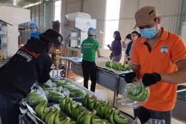 Em trai bầu Đức đăng ký bán sạch cổ phiếu HAGL