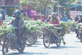 Nghề... chạy theo tết: Chuối cúng, ai bán ai mua? 