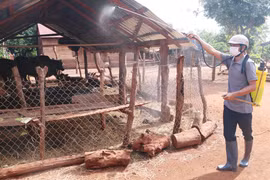 Bất cập hệ thống thú y