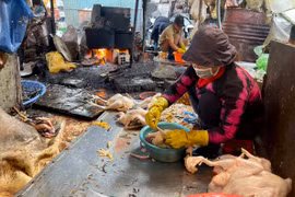 Xây dựng cơ sở giết mổ tập trung vì sức khỏe cộng đồng