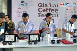 Ấn tượng sự kiện trải nghiệm cà phê địa phương lần đầu tại Gia Lai