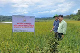 Cần đẩy mạnh chuyển đổi số trong lĩnh vực khuyến nông