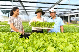 Thu hút các nguồn lực đầu tư phát triển nông nghiệp bền vững