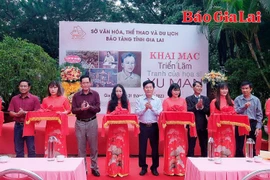 Họa sĩ Xu Man-“Ngọn lửa thiêng” trên cao nguyên 