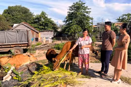 “Chìa khóa” giảm nghèo-Kỳ 1: Đổi đời nhờ xuất khẩu lao động