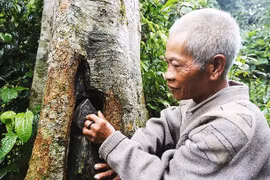 Làng Ong sau đêm núi lở, đất vùi