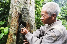 Làng Ong sau đêm núi lở, đất vùi