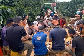 Mùa thiên di của người