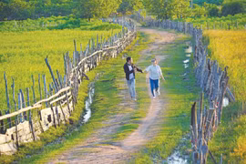 Kể chuyện núi rừng qua ảnh 