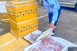 Phát hiện xe tải chở gần 1 tấn thực phẩm không rõ nguồn gốc