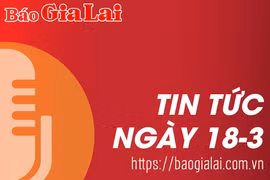 Tin tức sáng 18-3: Nâng cấp quốc lộ 19 đoạn qua huyện Đak Đoa: Thi công ì ạch, nguy cơ thay đổi nhà thầu