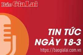 Tin tức sáng 18-3: Nâng cấp quốc lộ 19 đoạn qua huyện Đak Đoa: Thi công ì ạch, nguy cơ thay đổi nhà thầu