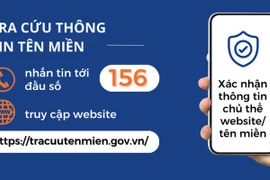 Sử dụng đầu số 156 để tra cứu thông tin tên miền