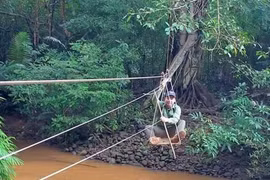 Ăn Tết không quên giữ rừng