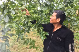 Hướng đến phát triển kinh tế xanh